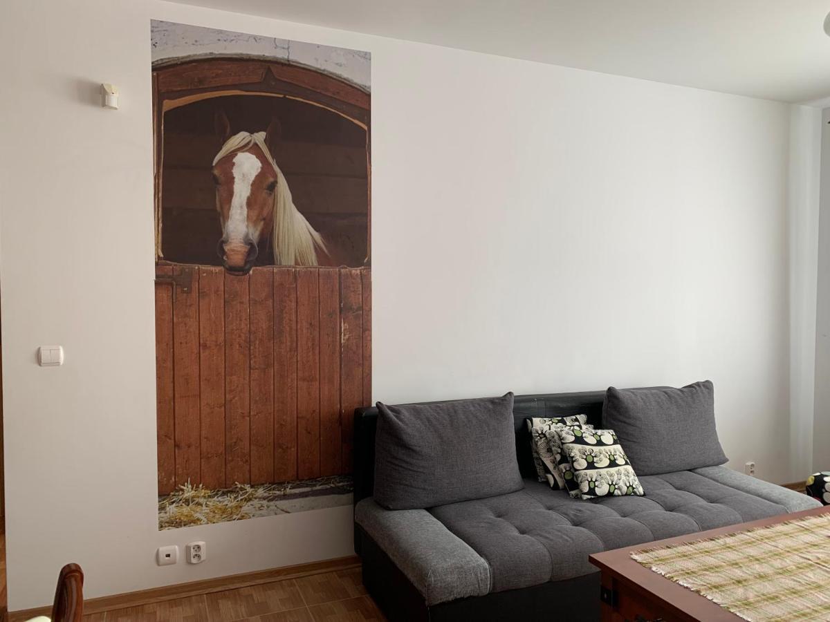 Zawsze Sloneczny Apartament Grzybowo Гжибово Екстер'єр фото